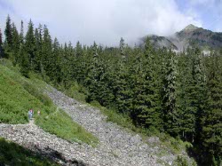 View of the Trail and Silver Peak