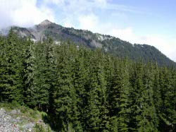 Silver Peak Ridgeline