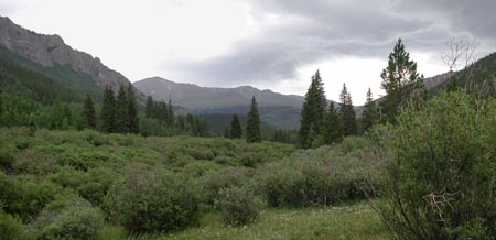 High Valley Meadow -- 10,200 feet