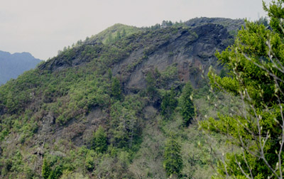 Wide shot from the trial