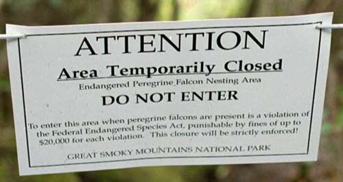 Warning Sign -- Temporary???