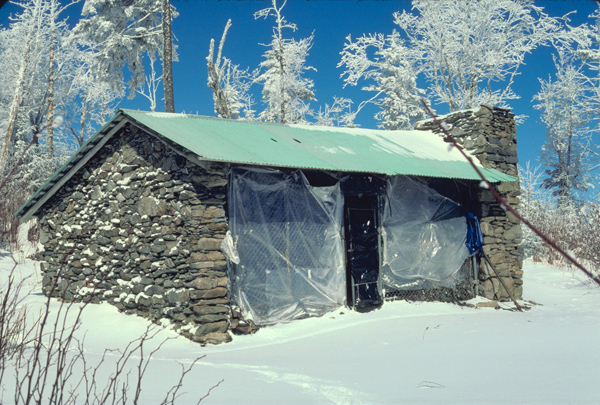 Mt. Kephart / Ice Water Springs Shelter